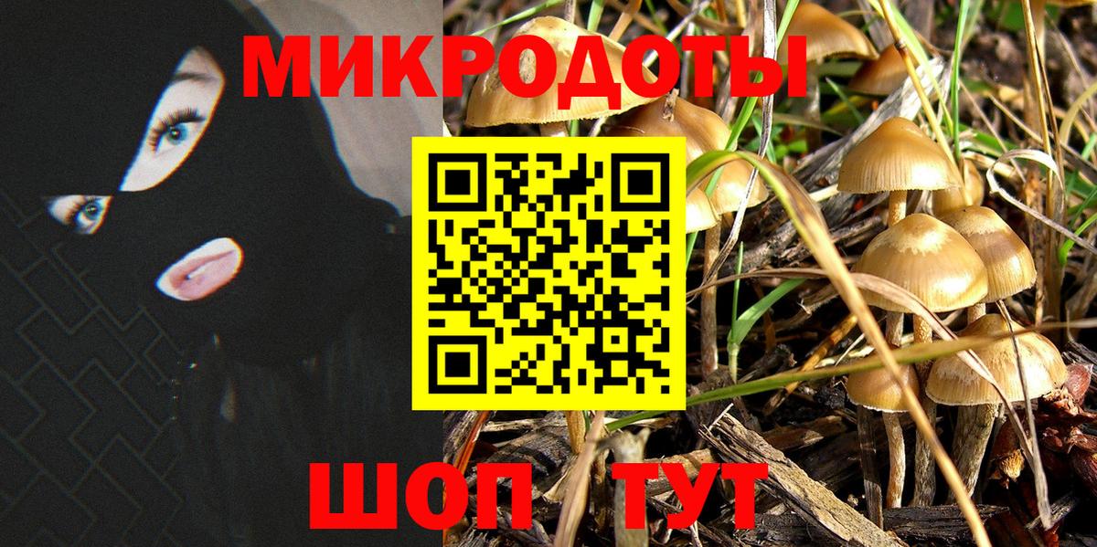 Грозный  Псилоцибиновые грибы Psilocybe  Вход с VPN  Галлюциногенные грибы Magic Shrooms 