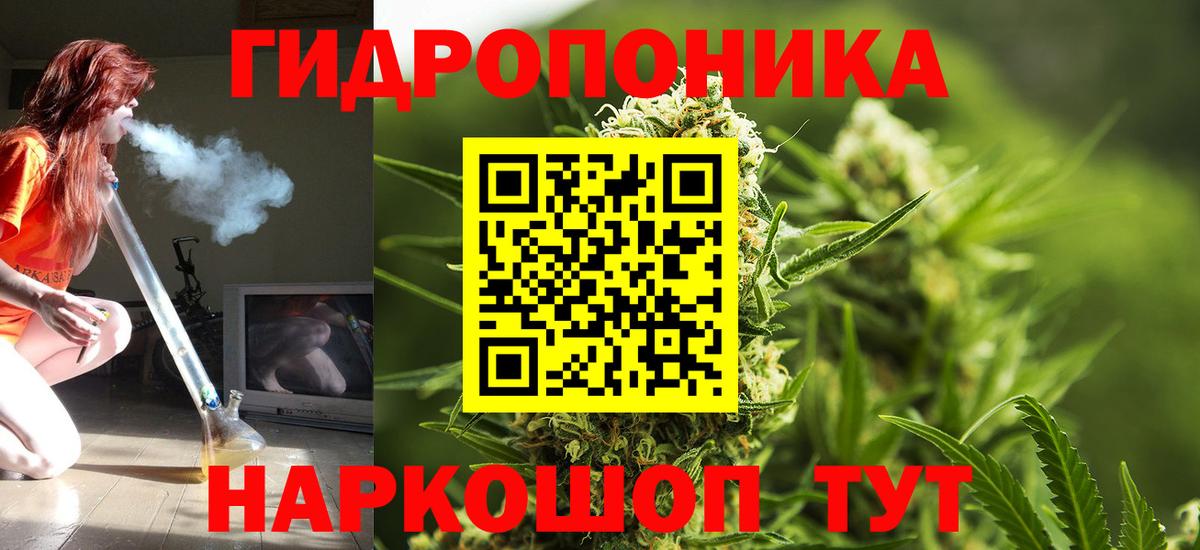 Канабис White Widow  Марихуана Ganja  Шишки марихуана план  Вход с VPN  Грозный  Бошки Шишки Amnesia 